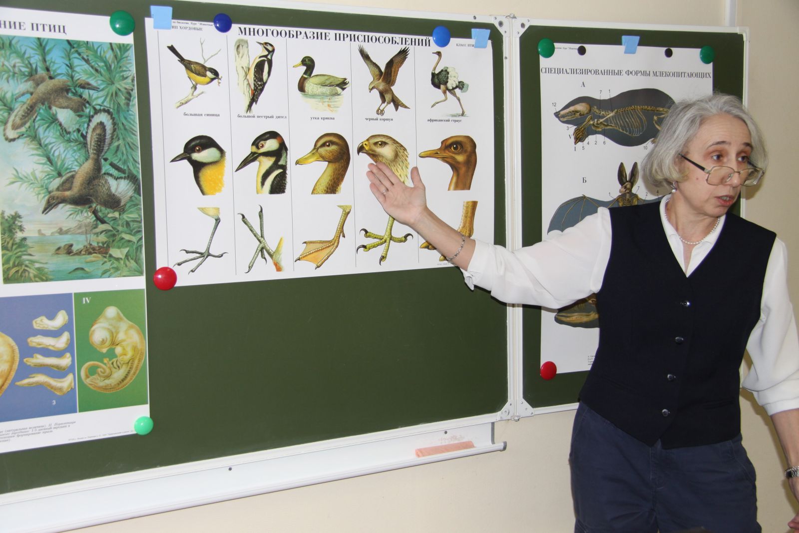 \"Что такое биология?\" ШКОЛА БУДУЩЕГО ПЯТИКЛАССНИКА - Новости - \"Что ...